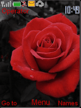 rose theme