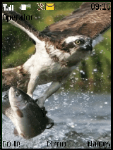 fishing