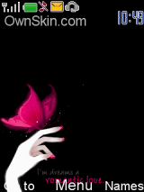 Butterfly