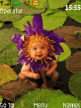 bebe