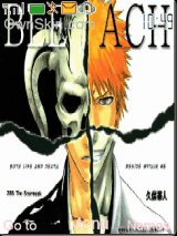 bleach