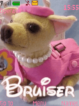 BRUISER