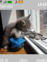 chaton