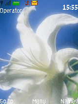 flowering