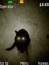 Kitty