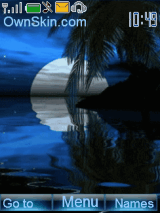 Beach night