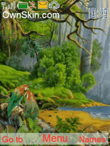 Nature Nice