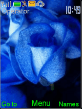 Blue rose