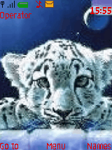 sNow TiGer