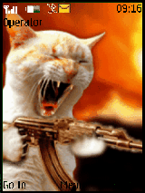 Cats