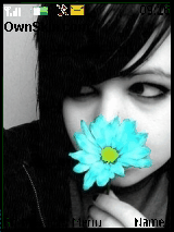 llove
