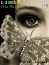 butterfly 33