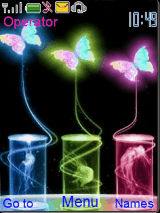 colorfull butterfly