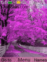 Violet tree