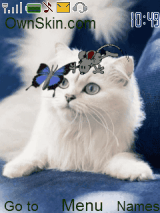 Friend's of the Kitty