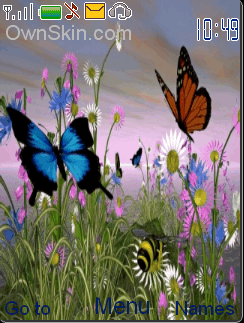 butterfly in gurden