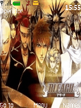 bleach