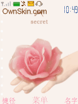 secret