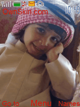 صقار الإمارات