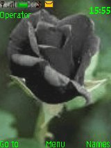 kara gul