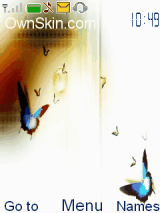 Butterfly