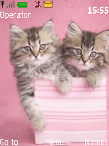 2cat