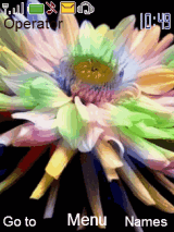 animated flower