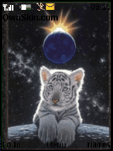 white tiger
