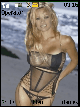 pamela anderson