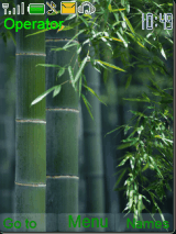 bamboo