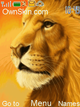 lions