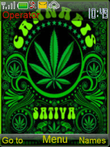 cannabis
