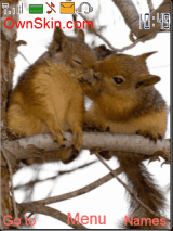 Squirrel kiss