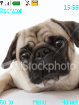 mops