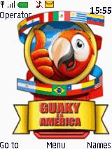 Copa America 2007