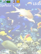 fish tank