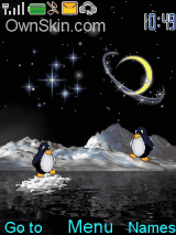 penguin