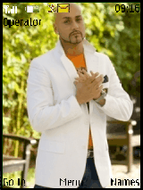massari 