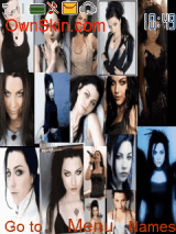 amy lee m