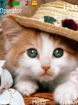 cat-3