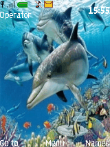 dolphin