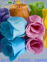 Roses