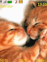 sweet kitkat