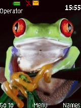 frog