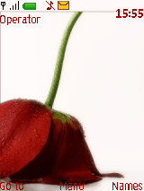 flor