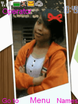 dandi skin