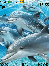 delfines