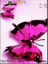 butterfly
