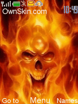 Skull