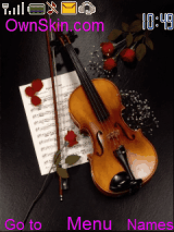 Violin